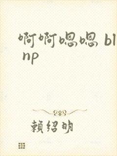 啊啊嗯嗯 bl np