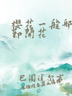 樱花一般哪个季节开花