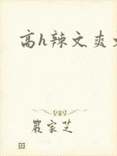 高h辣文爽文