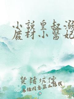 小说皇叔溺宠:废材小医妃免费