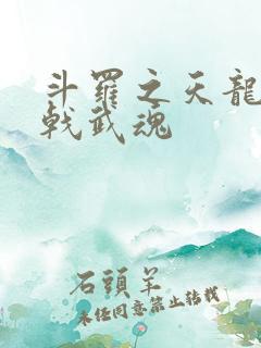 斗罗之天龙破城戟武魂