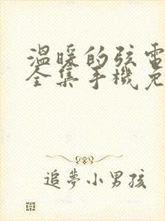 温暖的弦电视剧全集手机免费观看