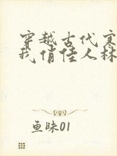穿越古代寒风送我俏佳人林婉如扮演者