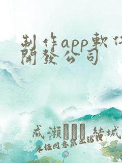 制作app软件开发公司