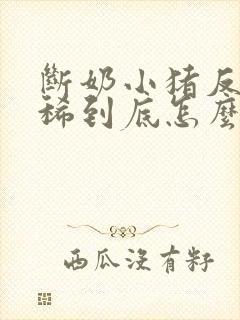 断奶小猪反复拉稀到底怎么治才能好呢