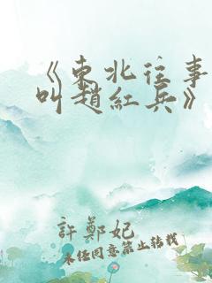 《东北往事:我叫赵红兵》电影