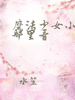 魔法少女小圆从哪里看