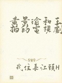 黄景瑜和王丽坤拍的电视剧叫什么