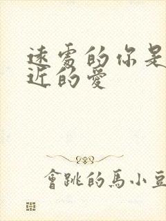 远处的你是我最近的爱