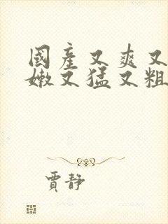 国产又爽又黄又嫩又猛又粗视频