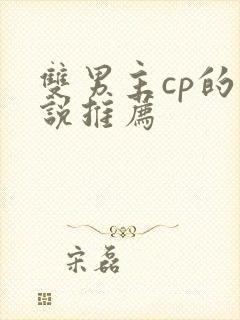 双男主cp的小说推荐