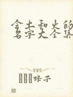 含土和火的男孩名字大全集