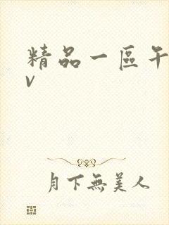 精品一区午夜av