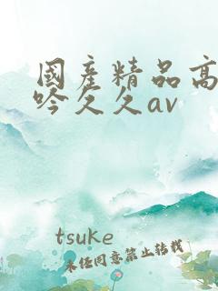 国产精品高潮呻吟久久av