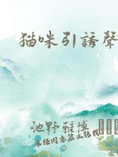 猫咪引诱声音