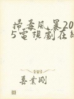 扫毒风暴2025电视剧在线观看