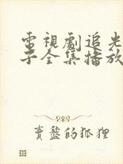 电视剧追光的日子全集播放免费观看