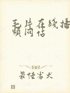 毛片在线播放视频网站