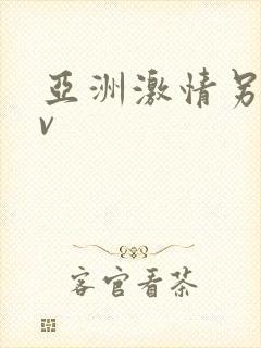 亚洲激情另类av