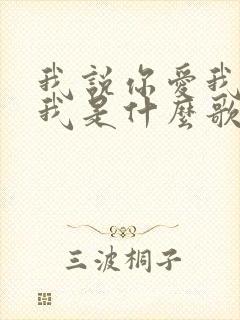 我说你爱我你想我是什么歌