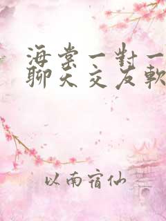 海棠一对一视频聊天交友软件