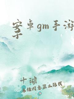 安卓gm手游盒子