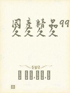 国产精品99久久久久久