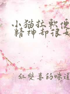 小猫拉软便带血 精神却很好怎么回事