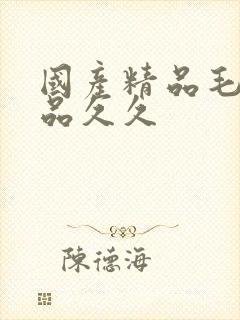 国产精品毛片极品久久