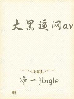 大黑逼网av
