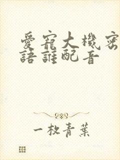 爱宠大机密2国语谁配音