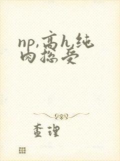 np,高h,纯肉总受