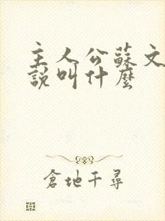 主人公苏文的小说叫什么