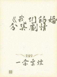 《我们的婚姻》分集剧情