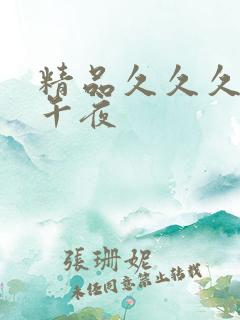 精品久久久久久午夜