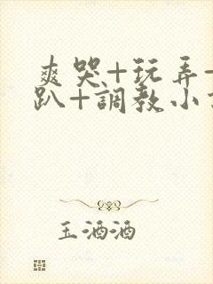 爽哭+玩弄+跪趴+调教小说