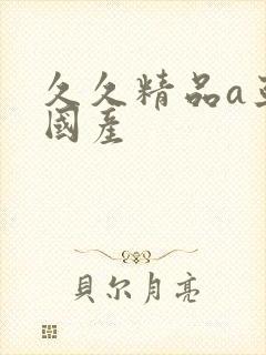 久久精品a亚洲国产