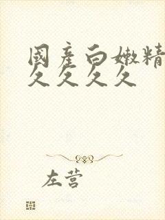 国产白嫩精品久久久久久