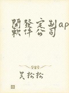 开发定制app软件公司