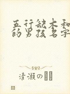 五行缺木和缺水的男孩名字