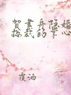 贺聿舟隐婚曝光总裁的掌心宠逃婚了全本阅