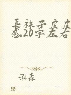 长袜子皮皮读后感20字左右