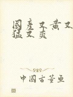 国产又黄又粗又猛又爽