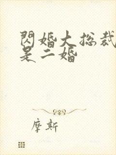 闪婚大总裁娇妻是二婚