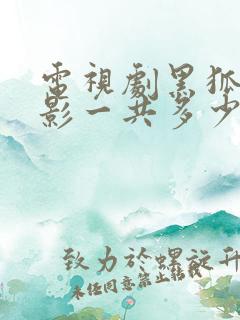 电视剧黑狐之风影一共多少集