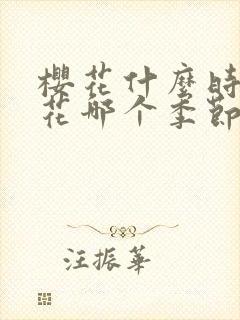 樱花什么时候开花哪个季节