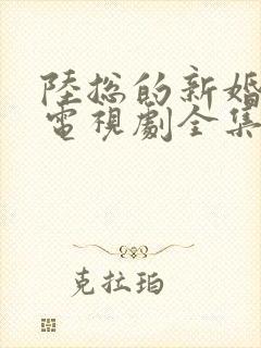 陆总的新婚哑妻电视剧全集免费播放