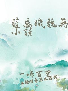 蓝忘机魏无羡h小说