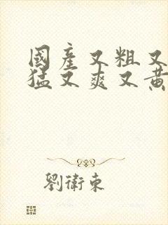 国产又粗又长又猛又爽又黄视频