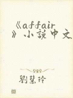 《affair》小说中文版
